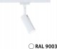 Paulmann Reflektor na szynoprzewód URail TUBO LED 3-STEP DIM 4W 170lm 4000K 230V biały RAL9003 / metal 1