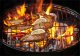 Brunbeste Grill Węglowy Turystyczny Ogrodowy Mobilny 35x35cm 7