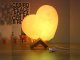 Hurt-net LAMPKA NOCNA SERCE LAMPA KSIĘŻYC 3D 55 CM MOON 6