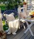 ModernHome BOCIANIE GNIAZDO FOTEL WISZĄCY PLECIONY HUŚTAWKA DO DOMU OGRODU 3