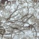 Lampki choinkowe Multimix.pl LAMPKI ZEWNĘTRZNE SOPLE 500 LED 20M KURTYNA GIRLANDA OŚWIETLENIE ŚWIĄTECZNE 8