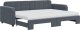 vidaXL Sofa rozsuwana z materacami, ciemnoszara, 80x200 cm, aksamit 2