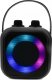 Radioodtwarzacz Soundmaster Soundmaster BT2024SW zestaw karaoke Przenośny Bezprzewodowy 5