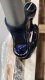 SR Suntour Amortyzator Suntour NCX-E LO Air 28, 70mm, QR 9mm niebieski OEM 6