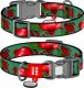 Collar WAU DOG OBROŻA NYLON Z ADRESÓWKĄ QR       15mm/25-35cm GRANATY 1