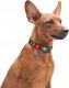 Collar WAU DOG OBROŻA NYLON Z ADRESÓWKĄ QR       15mm/25-35cm GRANATY 1