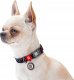 Collar WAU DOG OBROŻA NYLON Z ADRESÓWKĄ QR       25mm/33-49cm NIESKOŃCZONE ŚWIATY 1