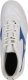 Mizuno Buty Mizuno MRL Sala Club IN Q1GA241602 2