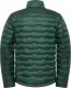 Kurtka męska Jack Wolfskin Jack Wolfskin Passamani Down M Jacket A61836-4161 Zielone M 1