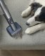 Odkurzacz pionowy Philips Vacuum cleaner - broom Philips AquaTrio Cordless 9000 XW9383/01 11