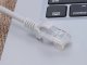 Przewód Verk Kabel sieciowy lan cat5e rj45 skrętka ethernet 2m przewód internetowy utp Kabel sieciowy lan cat5e rj45 skrętka ethernet 2m przewód internetowy utp 4