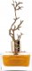 Aurora Aurora, Deciduous Summer, Eau De Parfum, For Women, 100 ml For Women 3