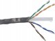 BestLan Kabel UTP CAT 6 BestLan 305m Drut CCA HQ 4