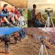 Statyw Alogy Statyw tripod Alogy lekki z pilotem i torbą uchwyt na smartfon, telefon, aparat do zdjęć 105cm 4w1 4