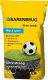 Barenbrug Trawa BARENBRUG RPR Lawn 15 kg 1