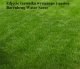 Barenbrug Mieszanka traw BARENBRUG Watersaver 15 kg 9