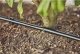 Gardena Gardena Micro-Drip-System drip line for bushes/hedges 1.6 l/h, 25 meters, dripper (black, model 2023, above and below ground) 1