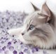 Żwirek dla kota Mersjo Żwirek silikonowy dla kota lawendowy Mersjo Lavender 8x3,8L 5