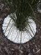 GardenPlus Obrzeże trawnikowe 40mm ogrodowe chodnikowe w rolce GardenPlus 18