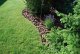GardenPlus Obrzeże trawnikowe 40mm ogrodowe chodnikowe w rolce GardenPlus 40
