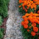 GardenPlus Obrzeże trawnikowe 40mm ogrodowe chodnikowe w rolce GardenPlus 46