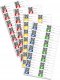 Caso Caso | Foil set 2 for vacuuming + Sous Vide Cooking | 01236 | Dimensions (W x L) 30 x 40 cm, 20 x 600 cm, 28 x 600 cm, 30 x 600 cm 8