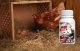 NO PEST Oprysk na Ptaszyńca Kurzego 250ml Środek Preparat Płyn Koncentrat na Ptaszyńce 6