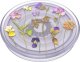 PopSockets Uchwyt i podstawka do telefonu PlantCore Grip Purple Fields 806198 3