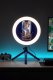 Paladone PALADONE Playstation Lampka do streamu 8