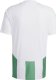 Adidas Koszulka męska adidas Striped 24 Jersey biało-zielona IW2148 XL 1