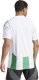 Adidas Koszulka męska adidas Striped 24 Jersey biało-zielona IW2148 XL 3