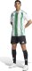 Adidas Koszulka męska adidas Striped 24 Jersey biało-zielona IW2148 XL 5