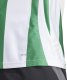 Adidas Koszulka męska adidas Striped 24 Jersey biało-zielona IW2148 XL 6