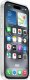 Apple Apple iPhone 16 Clear Case with MagSafe 3