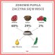 Pupil Premium Karma mokra dla psa PUPIL Premium All Meat GOLD wołowina 400 g 4
