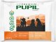 Pupil Premium Karma mokra dla kota PUPIL Premium JUNIOR bogata w indyka + cielęcinę 9 x (4 x 85 g) 1