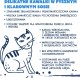 Teo Karma mokra dla kota TEO bogata w rybę bałtycką 10 x 415 g 6