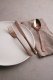 Sambonet Sambonet Taste cutlery 24 pcs. copper 1