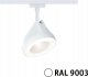 Paulmann Reflektor na szynoprzewód URail ARENA 15W DIM 850lm 2700K 230V biały RAL9003 / metal 1