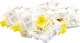 Keychron Keychron K Pro Banana Switch Set, Key Switches (Yellow/Transparent, 110 pieces) 3