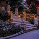 Lampki choinkowe Fééric Lights and Christmas Lampki świąteczne, dekoracyjne  200 LED, 20 metrów, wielokolorowe 4