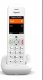 Telefon stacjonarny Gigaset Gigaset E390 Telefon analogowy/DECT Nazwa i identyfikacja dzwoniącego Biały 3