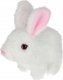 Mega Creative KROLIK PLUSZ B/O 15CM MIX3 MC DISP 6/72 2