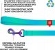 Collar Smycz dla psa nylonowa WAUDOG gradient, dł. 122 cm niebieska 2