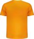 Napapijri POMARAŃCZOWY T-SHIRT MĘSKI Z KRÓTKIM RĘKAWEM NAPAPIJRI S 2