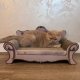 Purlov Drapak dla kota - sofa Purlov 24285 7