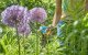 Gardena Zestaw GARDENA Łopatka Do Kwiatów 8950-20 + Sekator Ogrodowy 8754-20 8