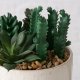 Boltze Sztuczna roślinka SUCCULENT, 12 cm 4
