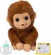 Little Live Pets My Baby Monkey 3