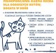 Teo Karma sucha dla kota TEO bogata w drób 15 x 800 g 6